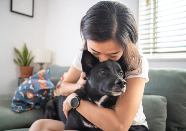 How Pet Benefits Can Help Employees Return to the Office￼