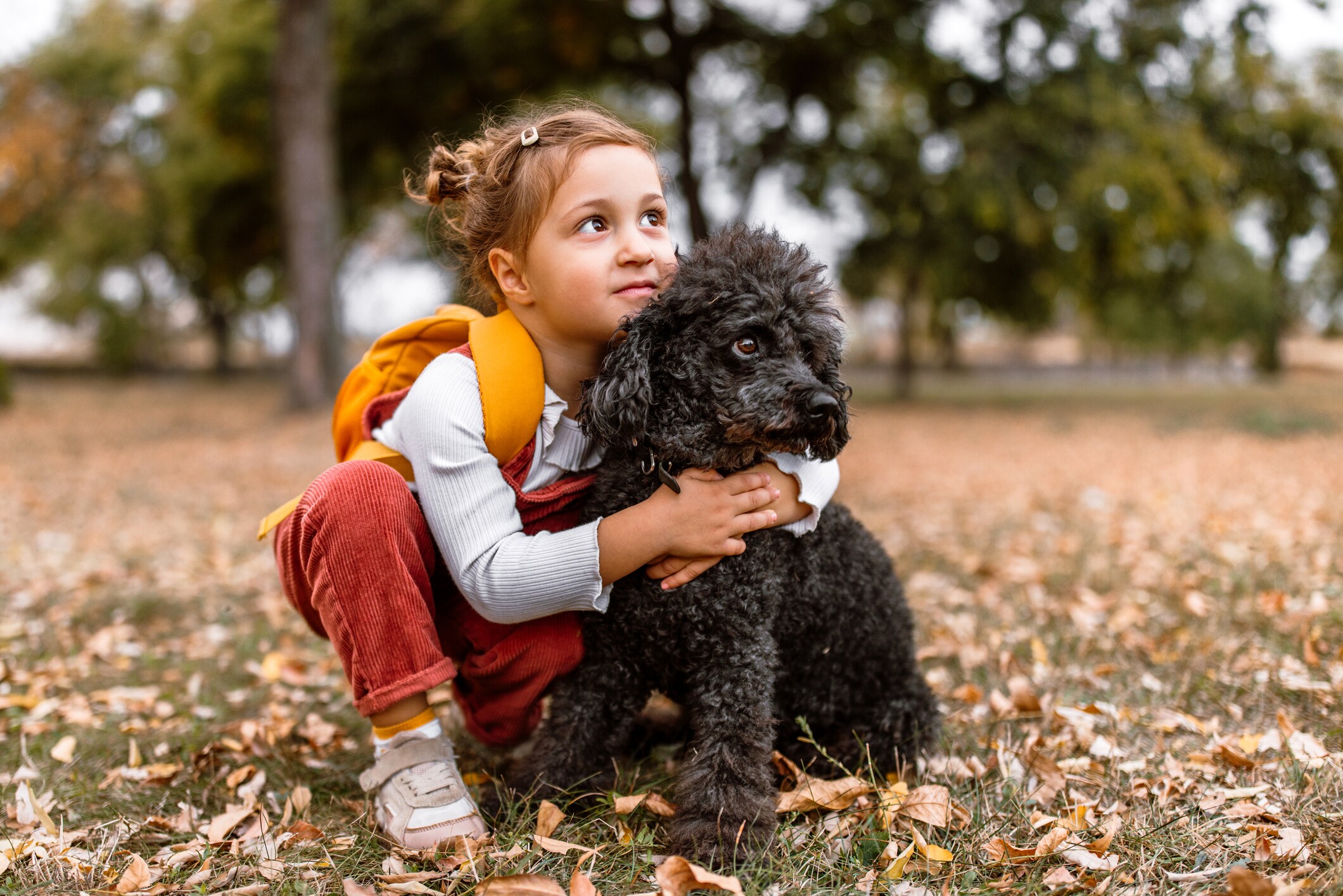 Best hypoallergenic dogs