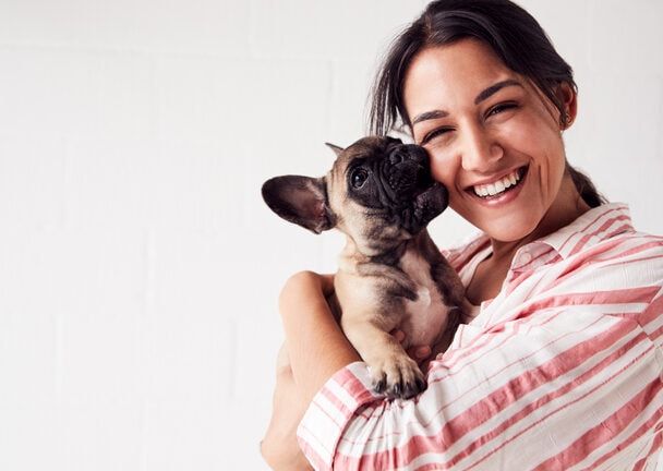 Why you love puppy breath and how to prolong the sweetness
