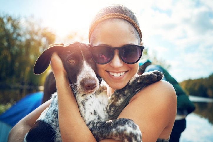 9 common summer dangers for pets