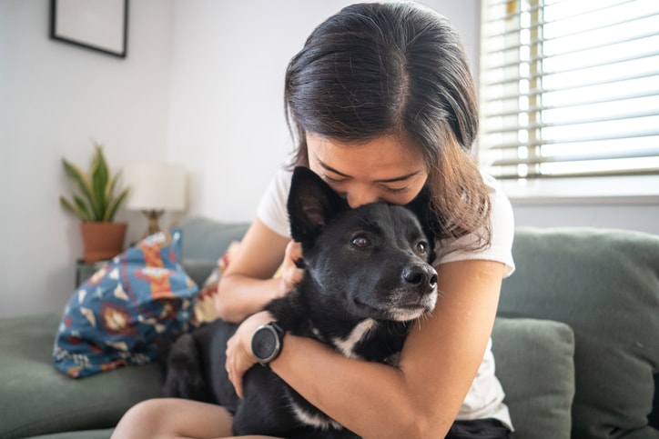 How to start a pet sitting business, according to pros
