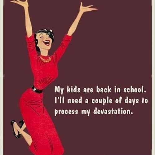 Back to school meme: My kids are back in school. I'll need a couple of days to process my devastation.