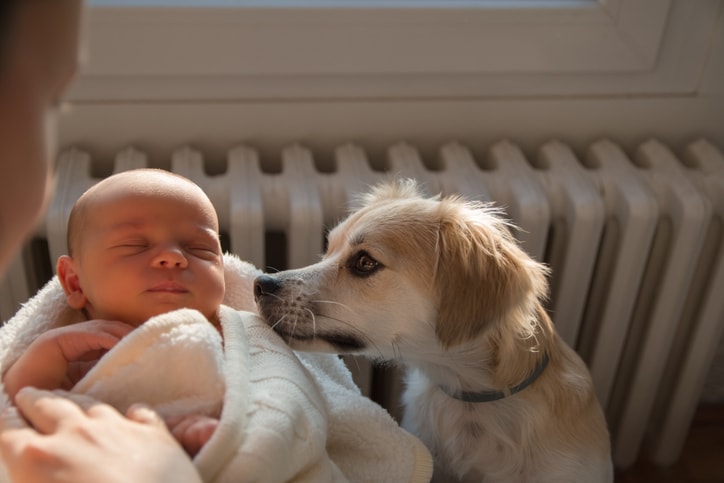 newborn baby and dog