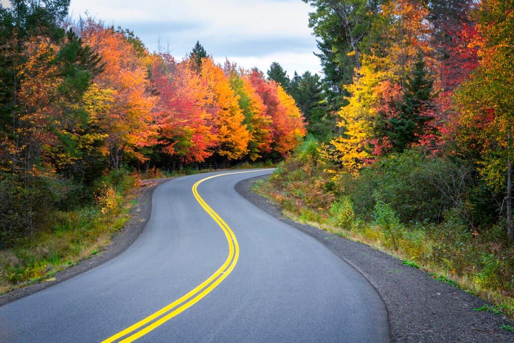 Going on a drive to take in the colorful autumn leaves is always a fun fall activity for kids