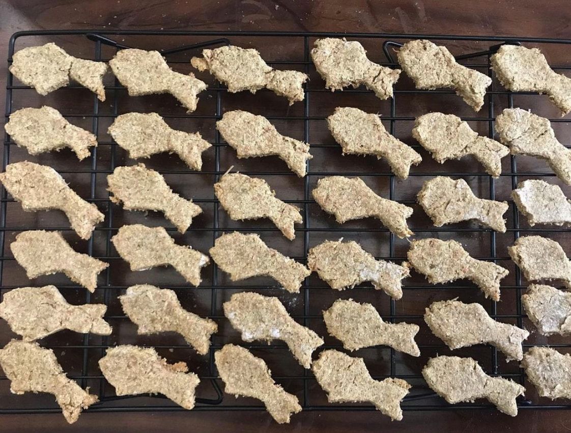10 homemade cat treats your kitty will love