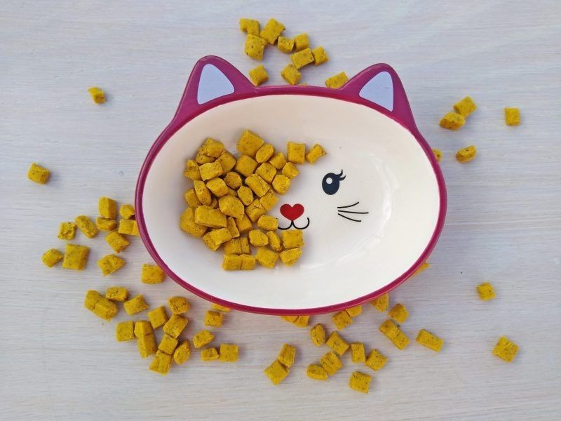 Recette : Biscuits Cataire Pour Chat - PetlifeCA