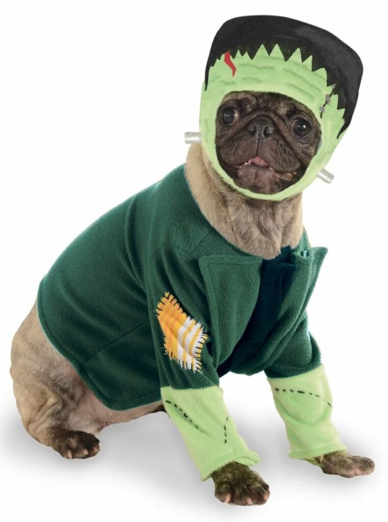 This cool Frankenstein getup makes the cutest pet Halloween costume
