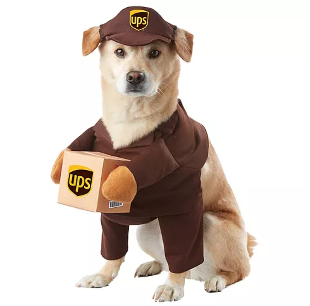 This UPS driver getup is the cutest dog costume