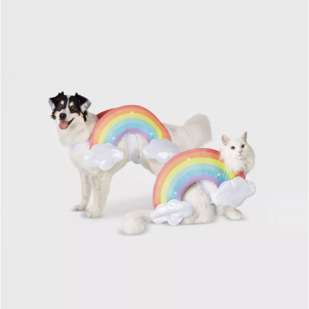This rainbow getup is the cutest dog or cat costume