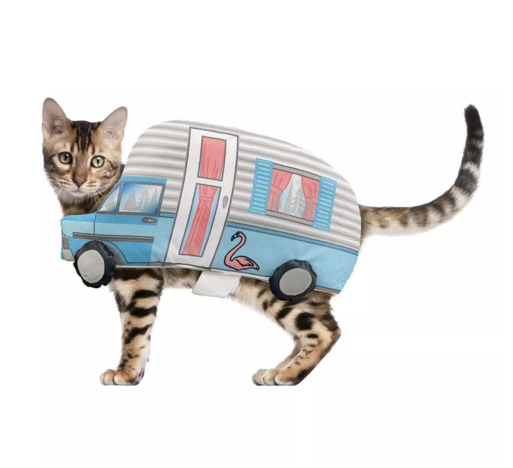This Retro Camper getup is the cutest cat or dog Halloween costume