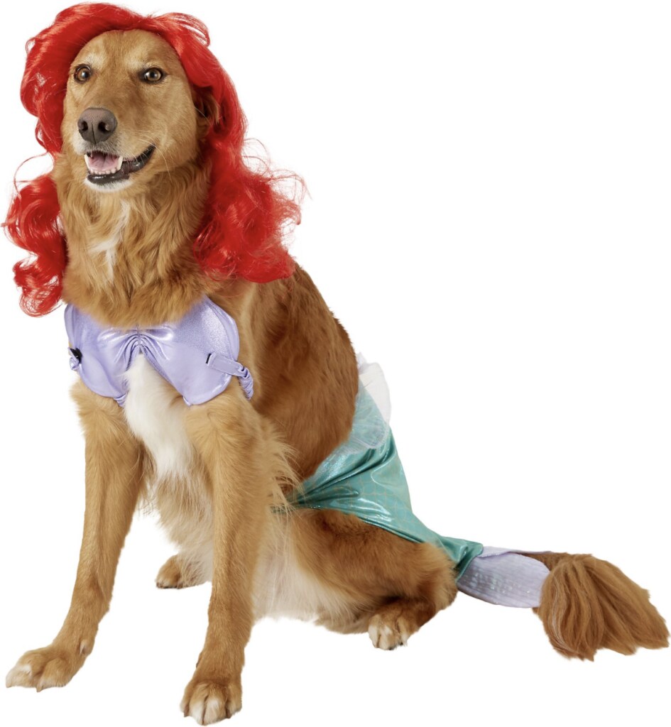 This Ariel Disney Princess getup is the cutest cat or dog Halloween costume