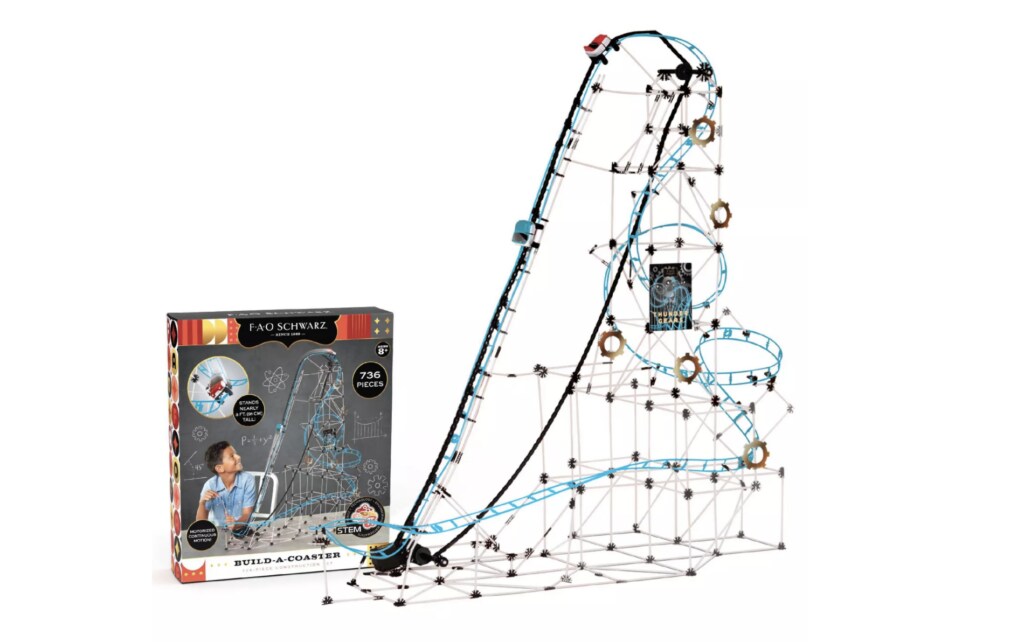 FAO Schwarz Roller Coaster Build Set