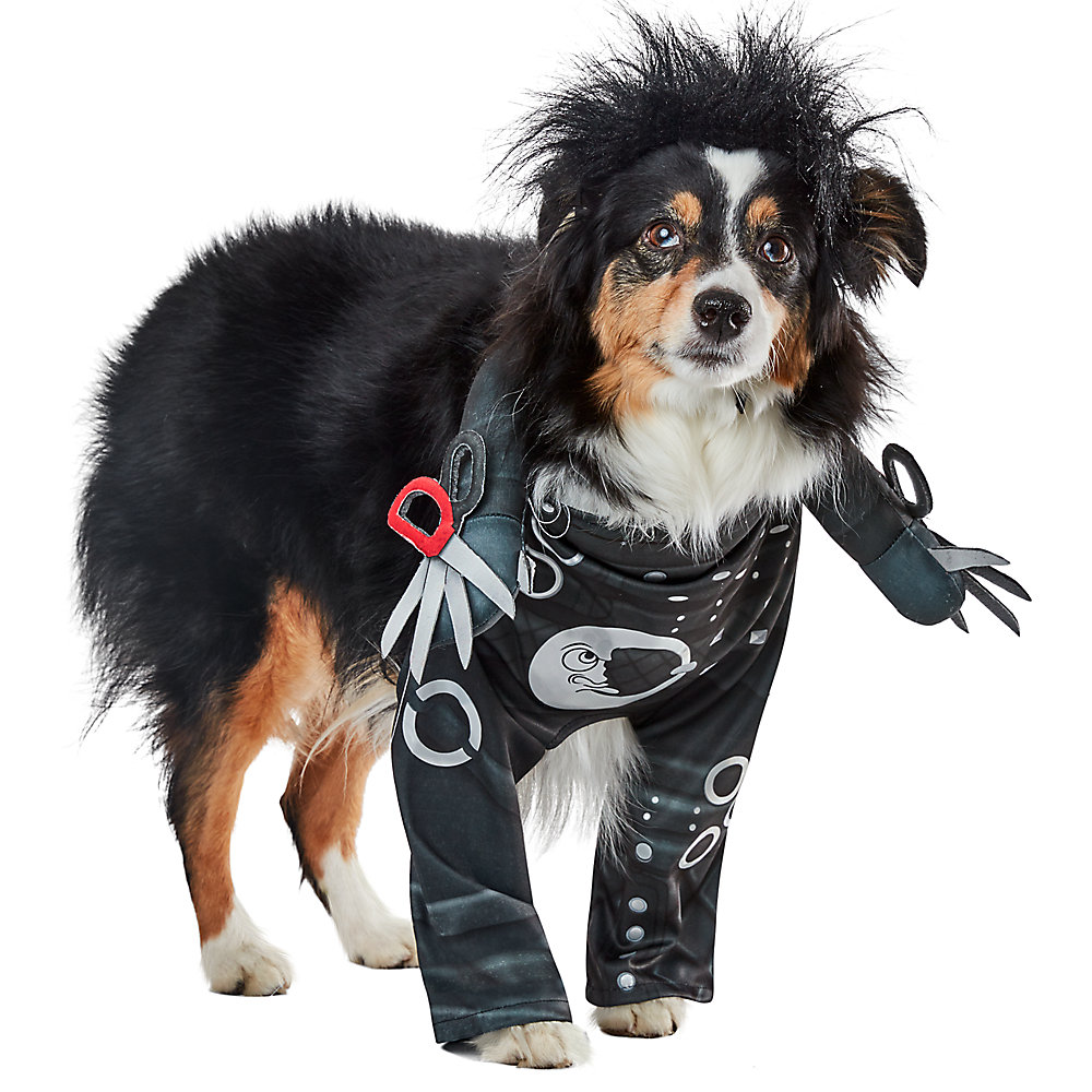 This cool Edward Scissorhands getup makes the cutest pet Halloween costume