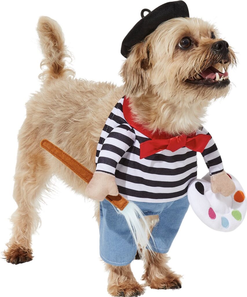 This French artist getup is the cutest dog or cat costume