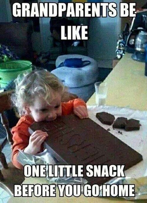 22 funny memes for kids  Resources