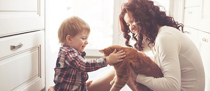Cats and Babies Together — Is It Safe?