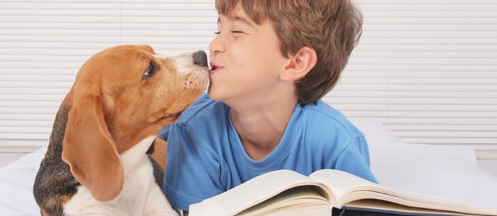 How Your Dog Can Help with School