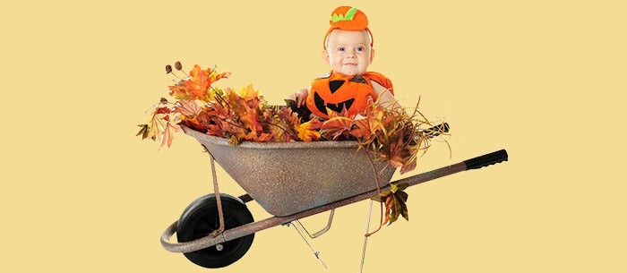 8 Stroller Halloween Costume Ideas