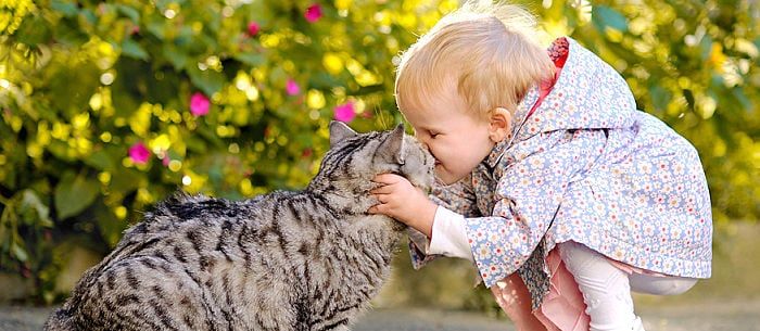 Kids with cats have more than double the risk of developing