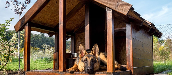 20 Free Diy Dog House Plans Care Com, Outdoor Dog House Designs