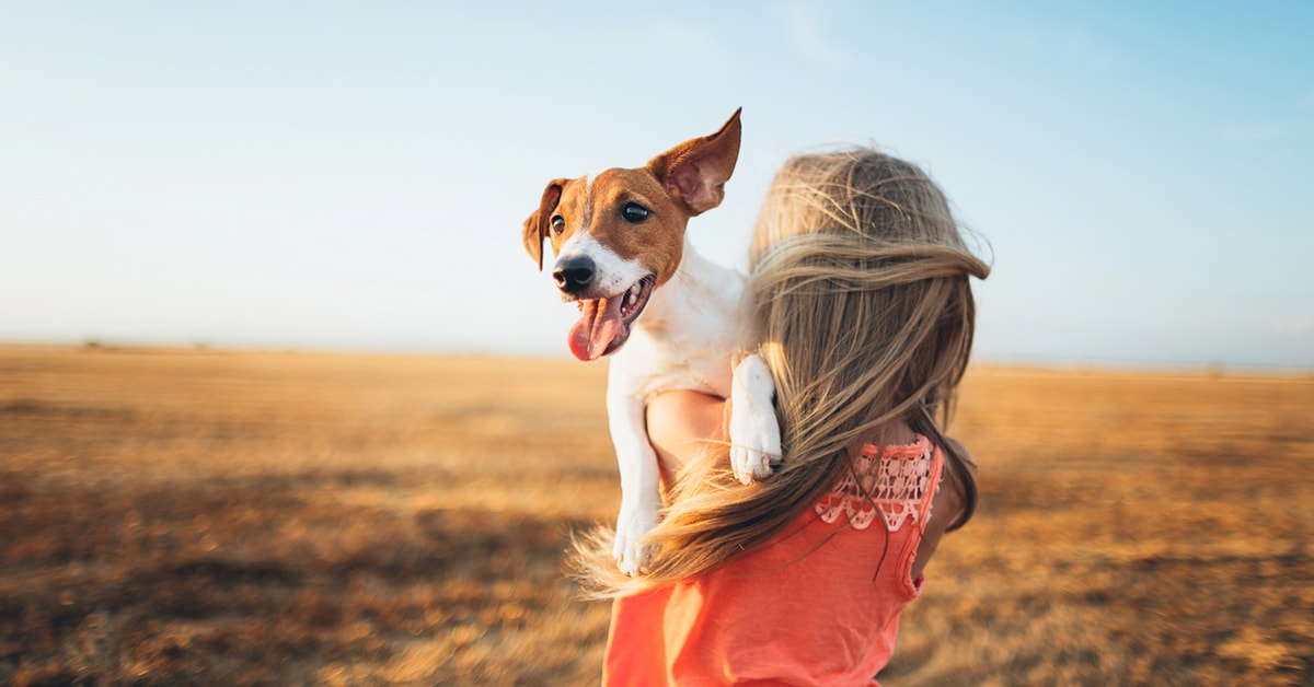 Beyond ‘Rover’: 101 unique names for dogs