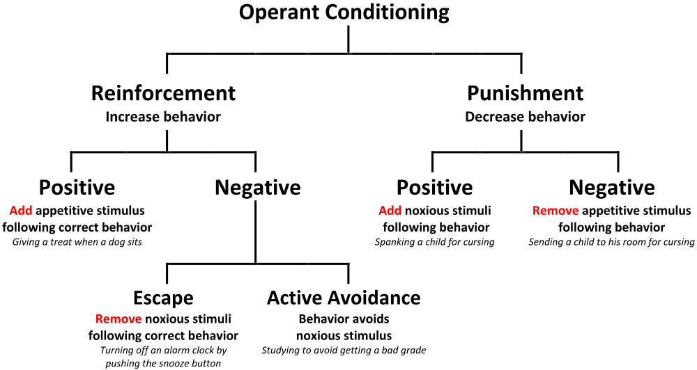 negative reinforcement assignments