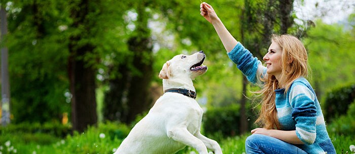 How to Make Your Dog Feel Loved: 8 Ways to Spoil Your Best Friend