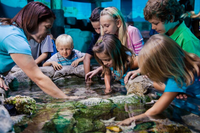 10 Central Florida Annual Passes You Never Knew Your Family Needed
