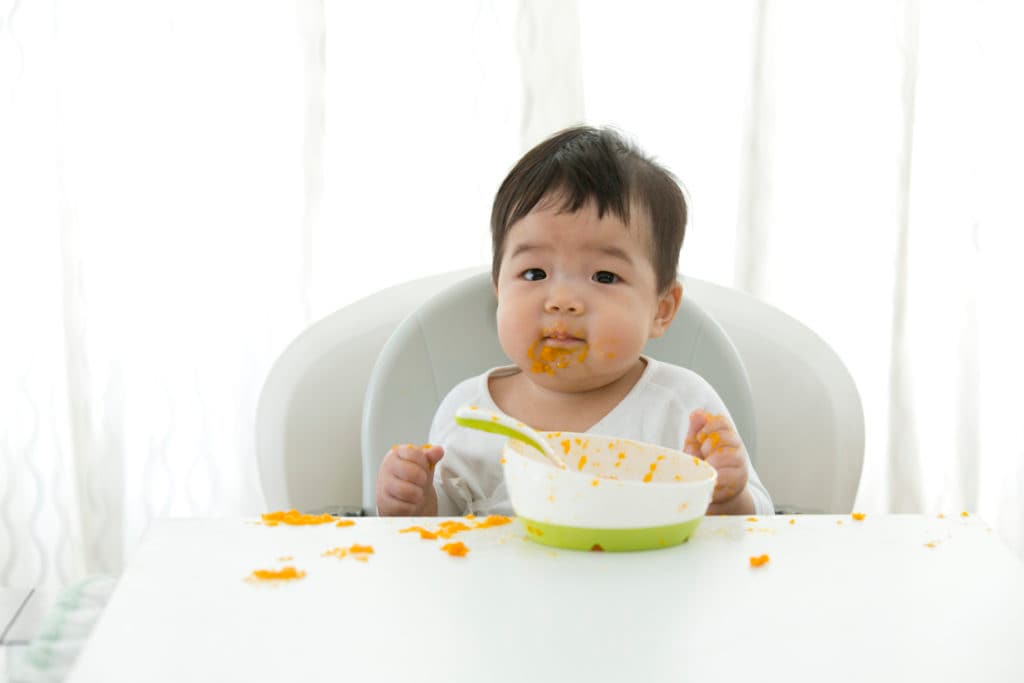 What are the 3 baby food stages?