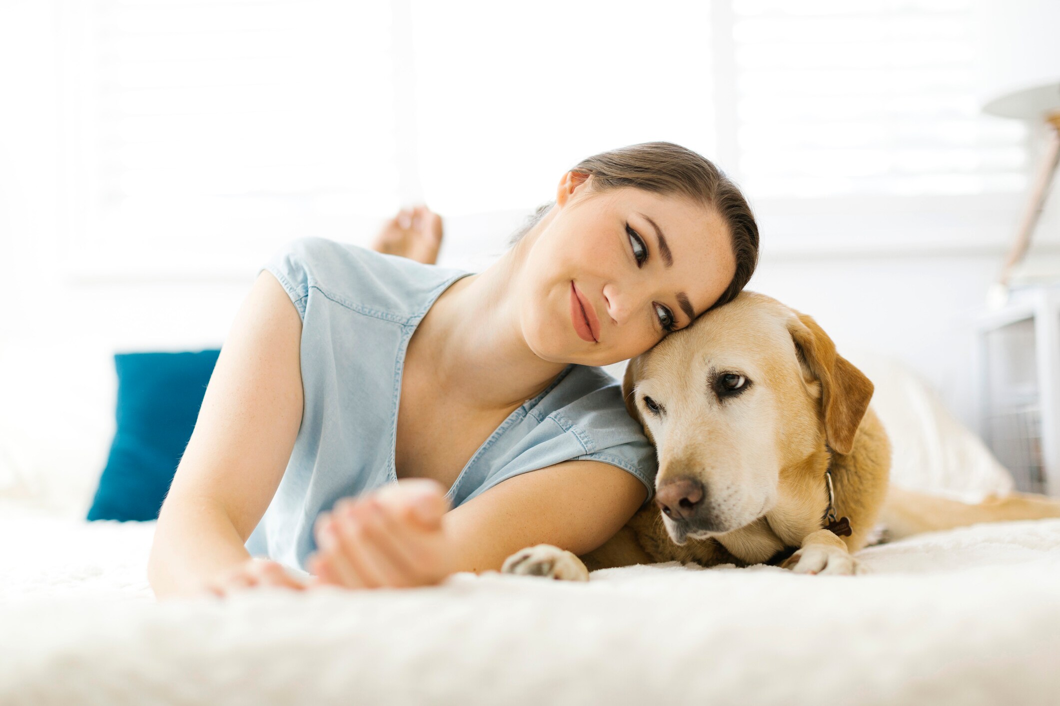 Pet sitting insurance: Benefits, policies and costs