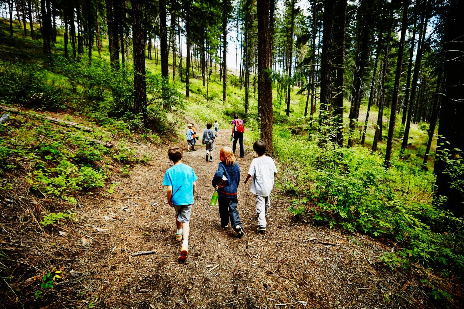 14 free or cheap summer camp options for 2023
