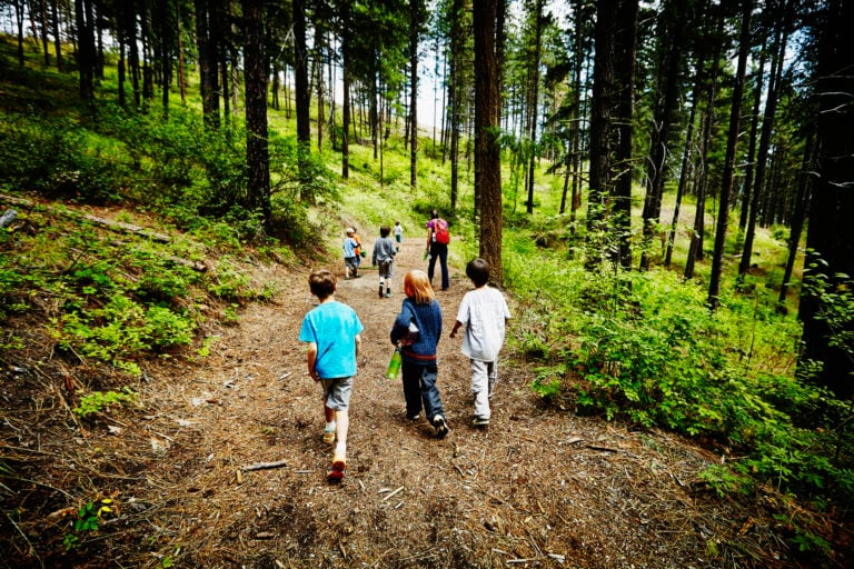 14 free or cheap summer camp options for 2024