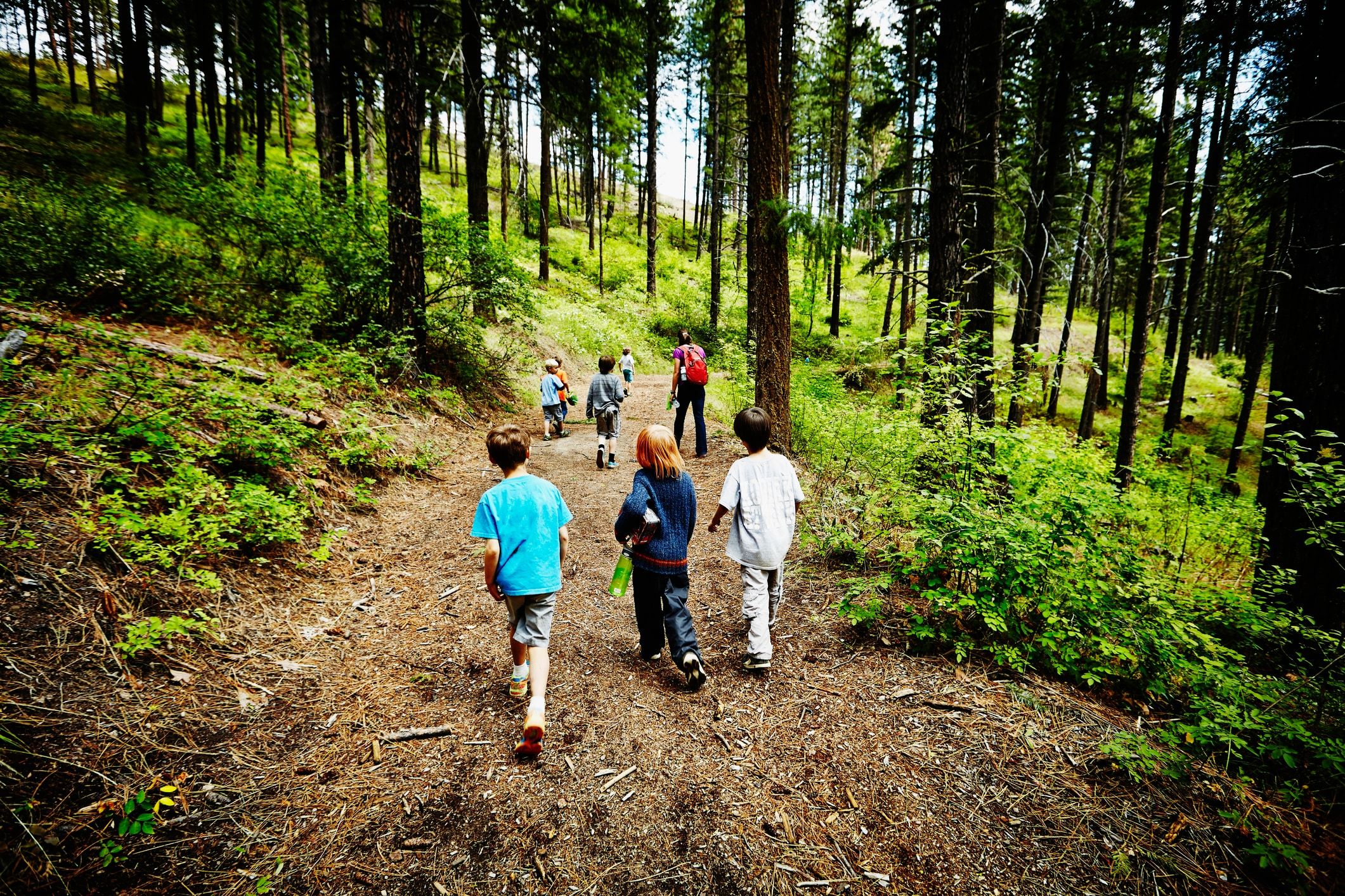 14 free or cheap summer camp options for 2020