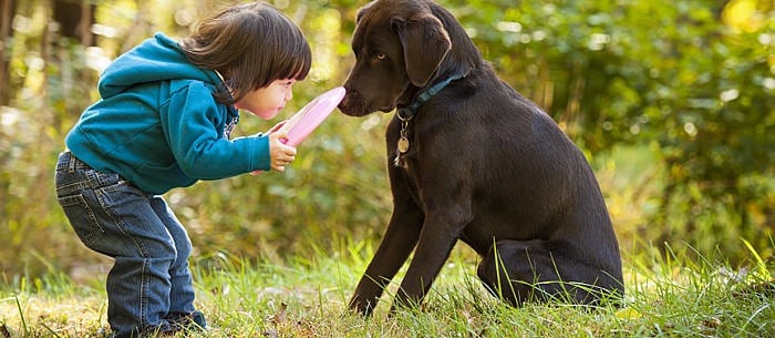 Dog Games for Kids Who Really Want a Pup