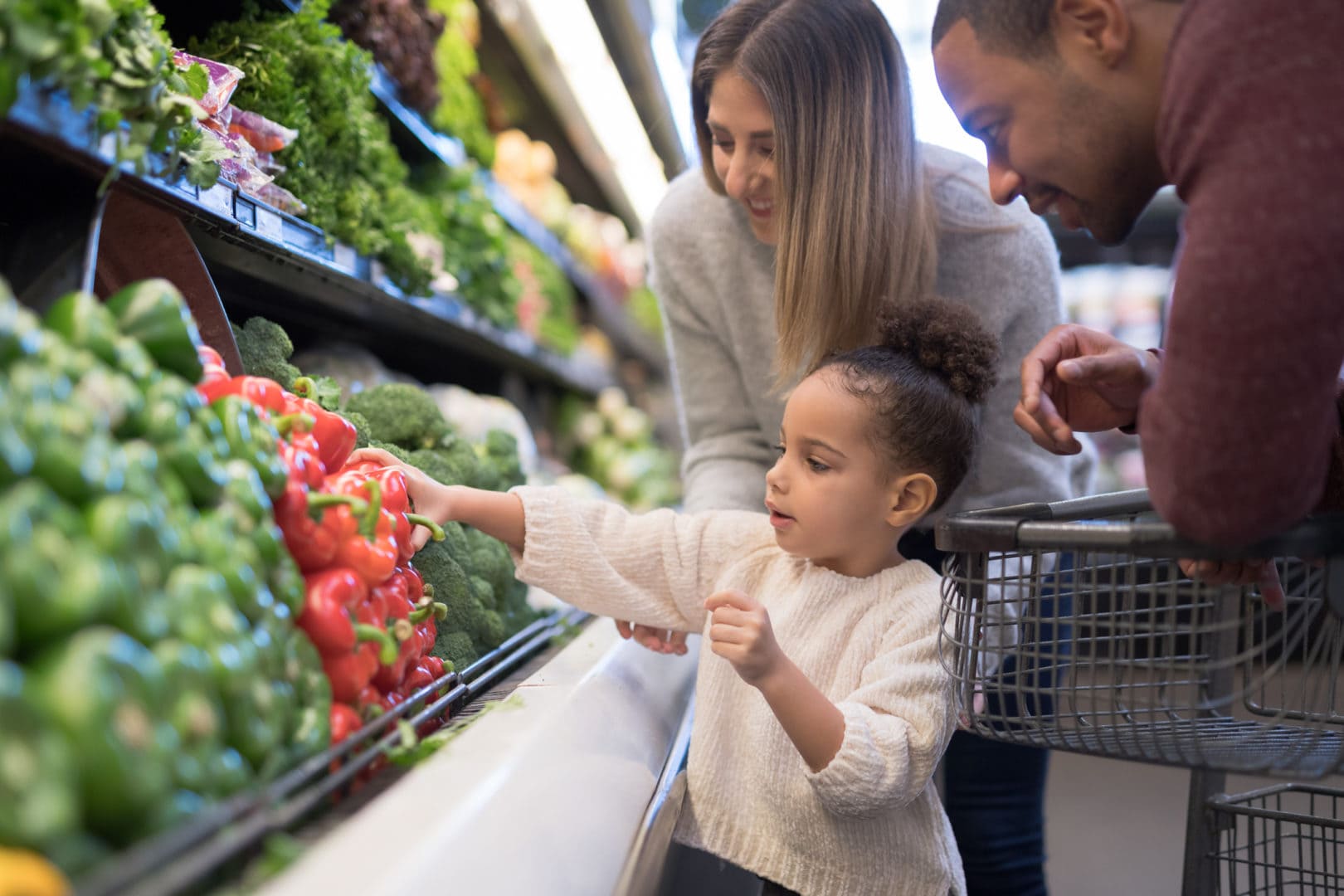 The 6 food groups every kid should know