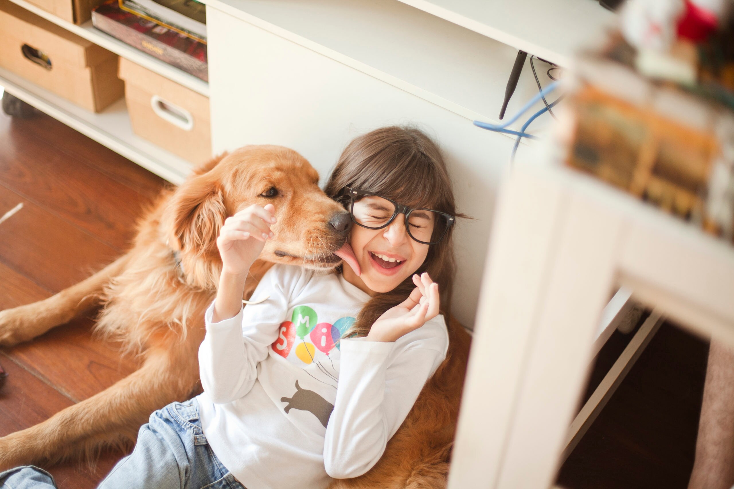 Best solution for bad dog breath sales