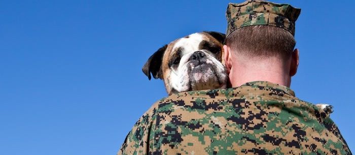 Caring for a Soldier’s Pet