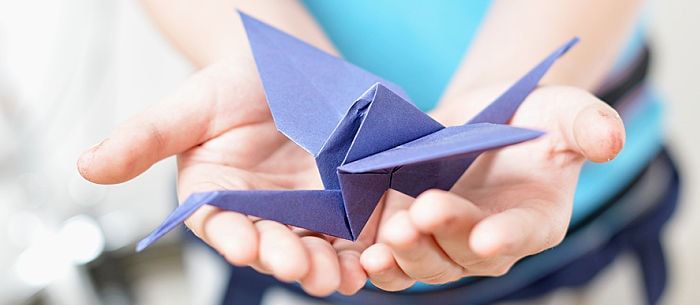 Origami for Kids: 10 Great First Folding Projects