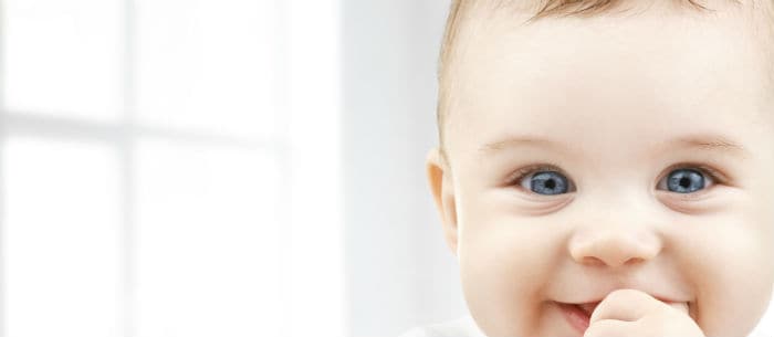 The Happiest Baby on the Block Explained in 500 Words