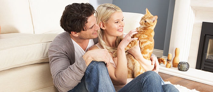 Why Do Female Cats Spray?