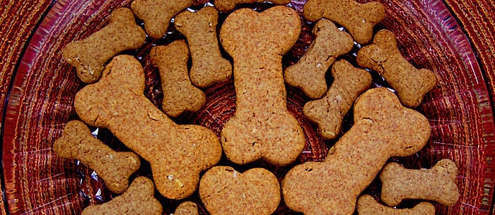17 Tasty Dog Treat Recipes Your Pup Will Beg For