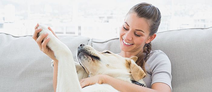 Dog Massage Techniques For the Home