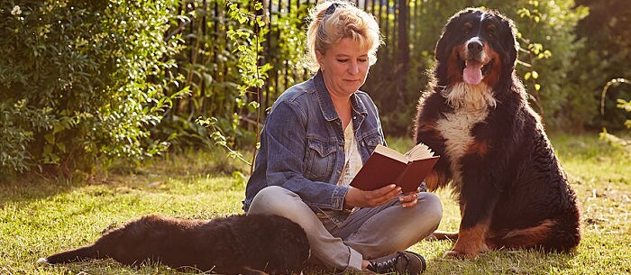 15 Best Dog Training Books