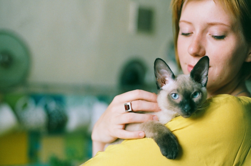 How to care for a cat: Tips and tricks for new owners