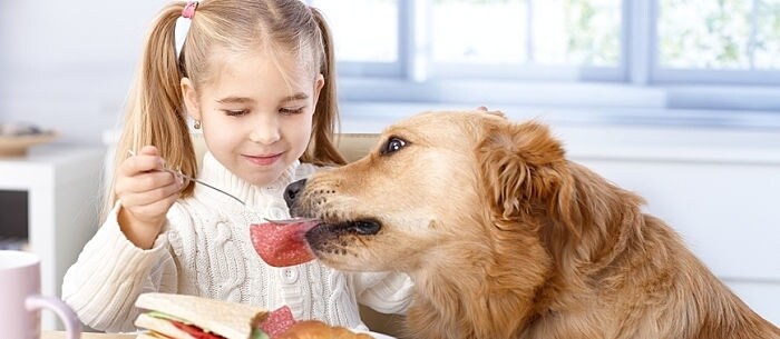 Should You Give Your Dog Vitamins?