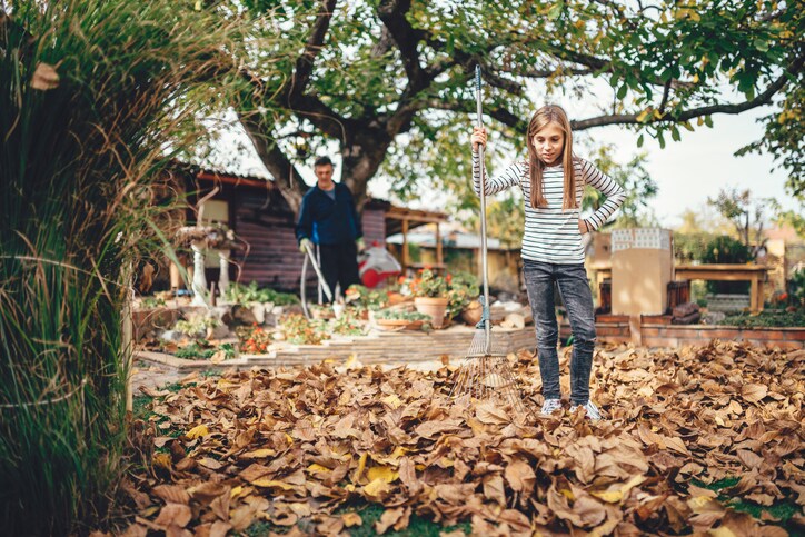 Autumn Care: How to Keep Spiders Out of Your Home