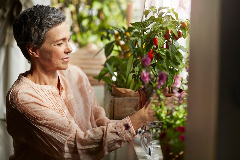 Keeping your plants alive when you go on holiday