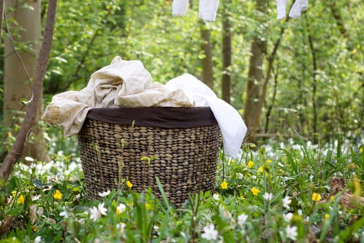 Eco-Friendly Spring Cleaning Tips for a Happy Home