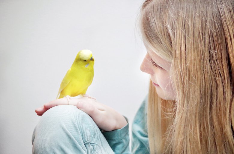 Should You Get Your Child a Pet Bird?
