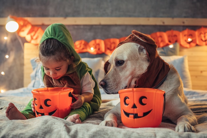 Pet Safety on Halloween